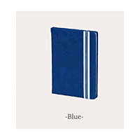Diary BB1 Diary BB1