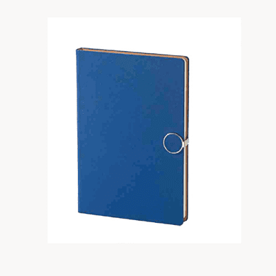 Blue DiaryBB25