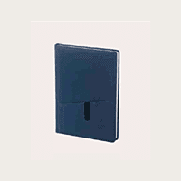 Brown Diary BB45 Brown Diary BB45