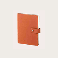 Blue Diary BB43 Blue Diary BB43
