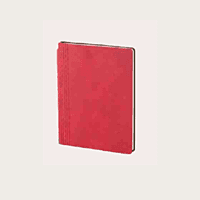 Grey Diary BB44 Grey Diary BB44
