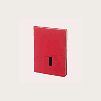 Brown Diary BB45 Brown Diary BB45