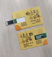 Card Shape Pendrive Card Shape Pendrive